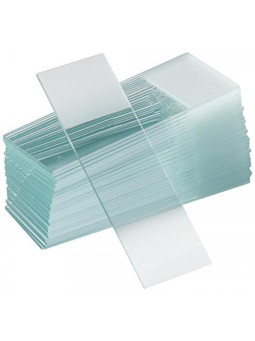 MICROSCOPE SLIDES